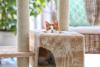 Gato laranja e branco dentro de casinha do arranhador