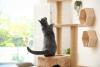 Gato cinza em cima de um arranhador para gatos com andares