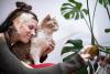  Selkirk Rex ganhando carinho de mulher