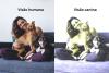 Mulher com cachorros na visão humana e na visão de um cachorro