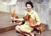 rainha com cachorros corgi sentada