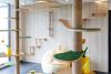 playground para gatos montado em uma sala