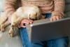 filhote de cachorro dormindo perto de humano