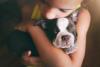 filhote de cachorro no colo de criança