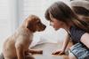 filhote de cachorro ao lado de criança
