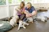 casal brincando com filhotes de cachorro da raça Labrador