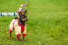 Cachorro Pinscher de roupa no frio