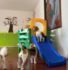 Cachorros brincando em escorrega para cães
