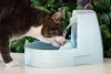 É importante fazer com que o gato beba água, mas em pouca quantidade para não piorar o quadro