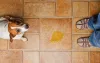 Todo tutor de um cãozinho passou, pelo menos uma vez, pela situação de encontrar xixi no lugar errado. A primeira coisa que você precisa fazer para corrigir isso é delimitar um espaço