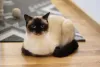 Das raças de gato mais independentes, o gato Siamês merece um destaque