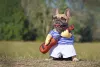 Já pensou em ter um cachorro músico?