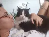 A Olga adora deitar na barriga da Babi para descansar nas horas vagas. Amor de gato, né?