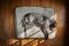 Cama para cachorro