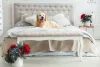 A cama box para cachorro é igualzinha a cama dos humanos, só que em tamanho reduzido