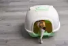 O banheiro de gato fechado ajuda a inibir o odor