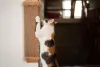 O arranhador de parede para gatos economiza espaço no ambiente