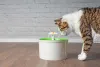 A fonte para gatos de plástico é uma das mais comuns e pode ser encontrada em qualquer petshop