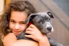 Criança abraçando um filhote de Pitbull cinza