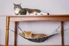 Cama de gato suspensa: os felinos mais ágeis vão adorar brincar nesse modelo!