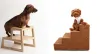 Escada para cachorro é ideal para os cãezinhos de porte pequeno!