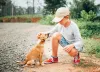 Dentre os melhores cachorros para crianças, os vira-latinhas não podem faltar nessa lista