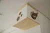 Nicho: gato gosta de ter conforto e espaço pessoal, por isso é importante investir na gatificação do ambiente. (Arquivo Pessoal: @o_fazedor)
