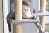 Uma casa gatificada precisa de um arranhador para o animal exercer seus instintos naturais de arranhar