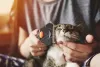 Escova Furminator: gatos podem ficar incomodados. Tenha cuidado na hora de usar!