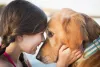 Golden Retriever encostando o rosto no de uma menina
