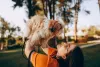 O Shih Tzu escolhe o dono e é totalmente fiel a ele