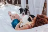 Com energia e lealdade, o Border Collie é um cão guia que vai estar sempre por perto