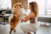 O Chow Chow é aquele cachorro que escolhe um dono para ser fiel e dedicado