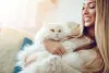 Fotos de gato Persa no colo fazem qualquer pessoa querer ter um bichano desse