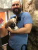 Adotar um gato para fazer companhia para outro foi a melhor decisão que o Igor poderia ter feito