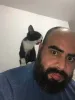 Filhotes de gato são mais sociáveis e criam vínculos com os tutores mais rápido