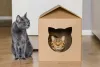A casinha de papelão para gato é um presente divertido que todo bichano adora