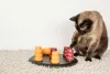 O quebra cabeça é um brinquedo interativo que funciona como um ótimo presente para pet de natal