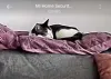 Ana Heloísa conta que a ideia de ter uma câmera pet surgiu após uma cirurgia da gata Mia