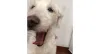 Oi humano tudo bem com você