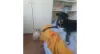 O Tom aproveitou a deixa para mostrar uma linguinha para a Amora (dê um zoom)