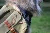 Se liga nos detalhes dessa mochila de cachorro!