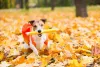 Esse cachorro de mochila está pronto para aprender a dar pata na creche