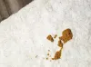 Gato vomitando ração: o aspecto do vômito é de uma massa de ração ou grãos mastigados