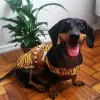 A Lorota ganhou uma fantasia de cachorro muito lindinha e personalizada da personagem Pedrita, dos Flinstones