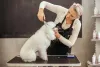 A raça de cachorro Poodle precisa de cuidados especiais com os seus pelos