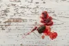 A hematoquezia em cães possui sangue vermelho com aspecto mais brilhante e fresco