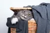 O Maine Coon é conhecido por ser um gato brincalhão e divertido