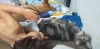 Sonequinha tripla: Valente (cachorro), Agatha (gata) e o humaninho Miguel!