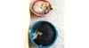 Hora da soneca tripla! Essas são a Suki e a Pantera (cachorras) com o Paris (gato)